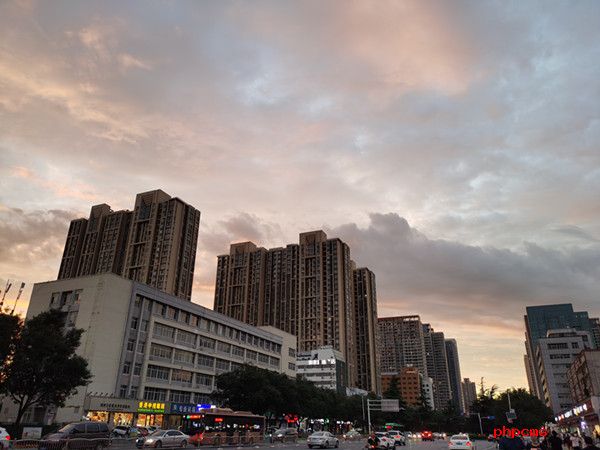 上半年深圳市地区生产总值为15016.91亿元 工业生产恢复较快