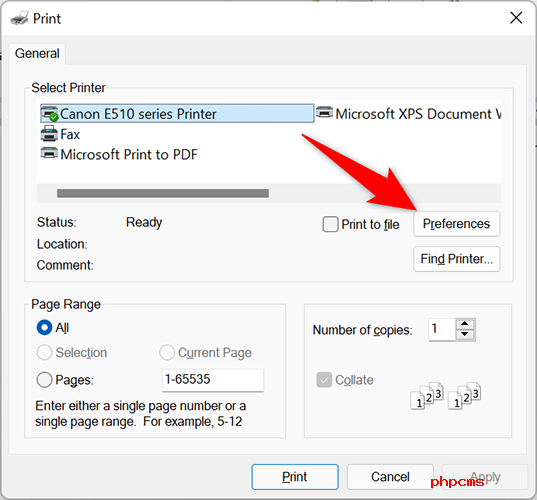 Windows11系统电脑双面打印操作方法 怎么在Windows11上使用打印机双面打印？